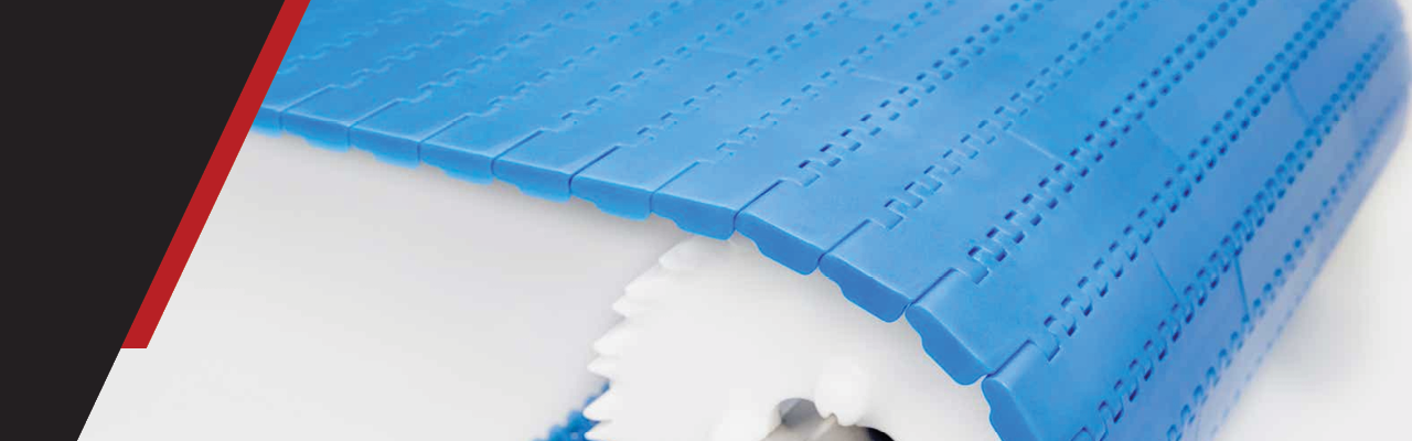 Intralox S1600 S1800 Heavy Duty Edge Belting