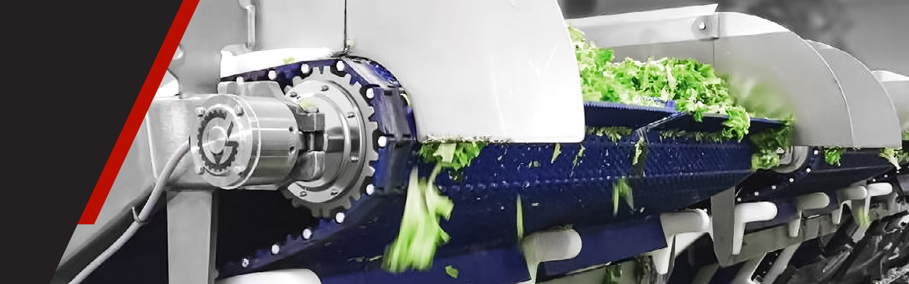 Van der Graaf SSV™ Drum Motor sprocketless design for hygienic conveyors