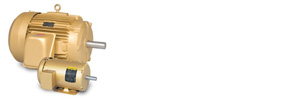 Premium Efficiency Motor