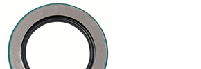 Oil Seals