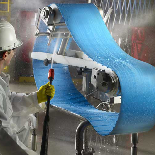 food processing belt