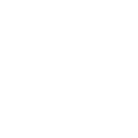 bsa_Logo